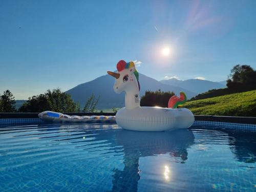 a plastic unicorn in an inflatable raft in a pool at Appartment Sattlerhof in Mutters