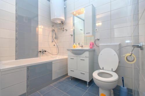 uma casa de banho com um WC, um lavatório e um espelho. em Maslina Apartments em Stari Grad