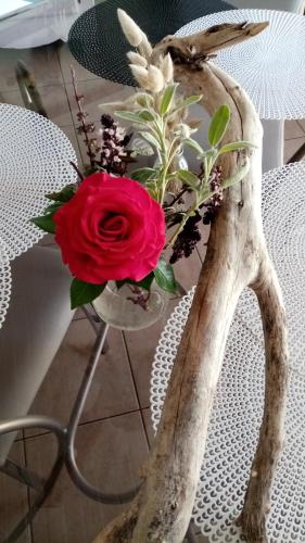 a vase with a red rose on a table at l'Eden naturiste écureuil in Challans