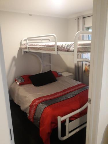 a bedroom with two bunk beds in a room at Comfortable 1 bedroom perfect for travelers or workers in Horotiu