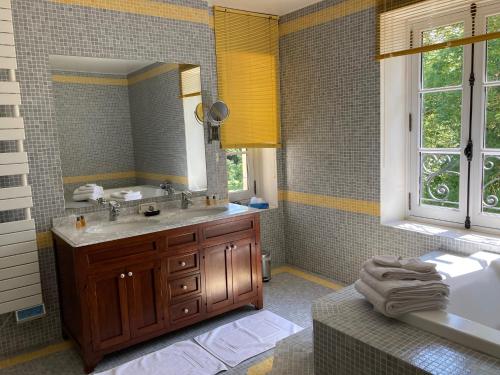 a bathroom with a sink and a large mirror at Château de Ré in Le Petit-Pressigny