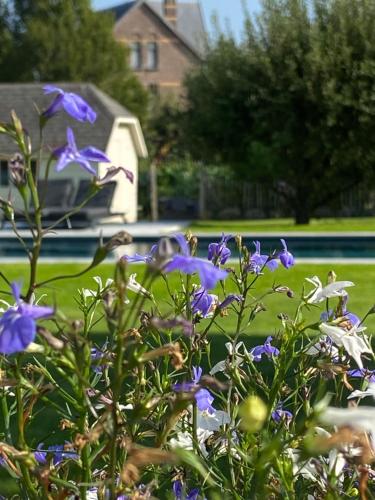 Κήπος έξω από το B&B Aline Florentine - adults only - Luxury B&B - Chambres d'Hôtes - Zimmer Frei