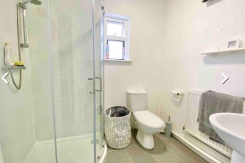 a bathroom with a shower and a toilet and a sink at Traditional 2-bedroom Cornish cottage in Newlyn in Newlyn