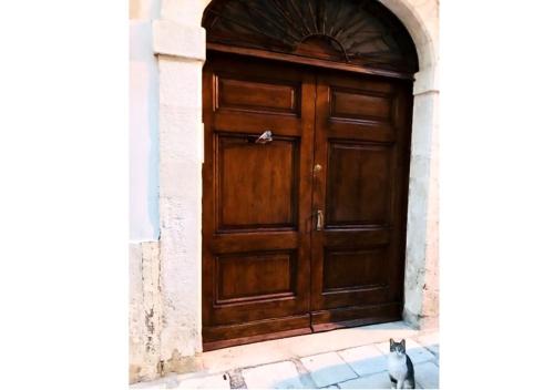 eine Katze, die vor einer Holztür sitzt in der Unterkunft View - Art house Roof top sea view in Polignano a Mare