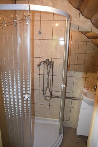 a shower stall in a bathroom with a toilet at Cabana Colnic in Măgura