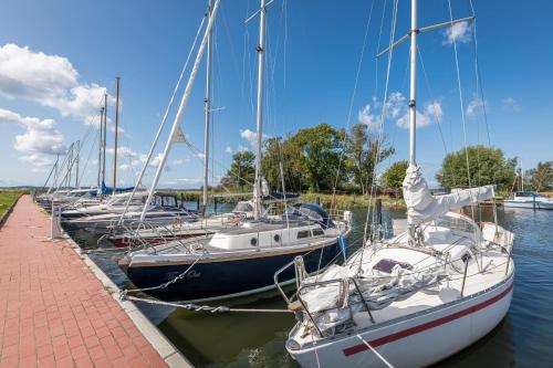 a group of sailboats docked at a dock at Marina Martinshafen in Sassnitz