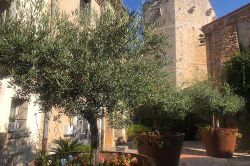 Κήπος έξω από το Carrer del Sol