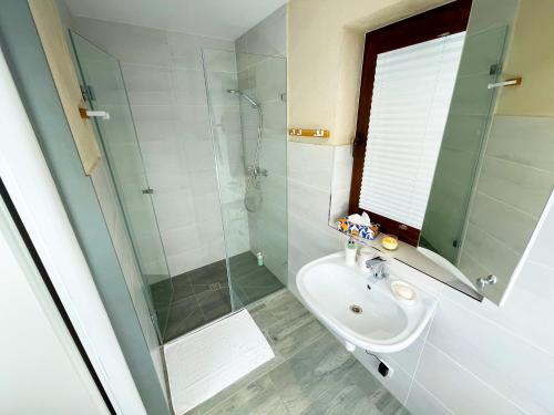 a bathroom with a glass shower and a sink at Apartamenty Nadrzeczna24 in Tolkmicko