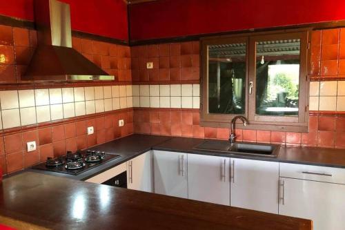uma cozinha com um lavatório e um fogão forno superior em Ti' Kaz Kréol em Salazie