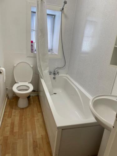 a bathroom with a toilet and a tub and a sink at Rainforest 1 in Campbeltown