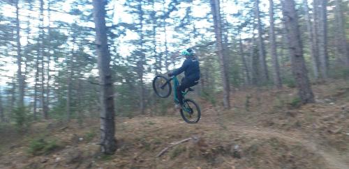 a person riding a bike in the woods at Apartment Beautiful Črni Kal in Črni Kal