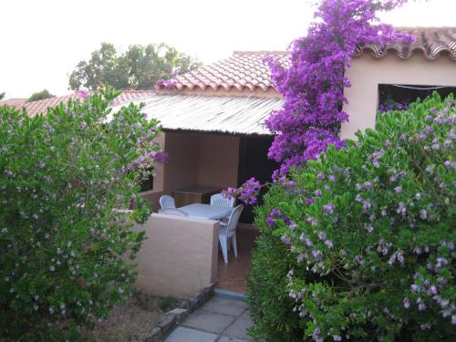 Κήπος έξω από το Camping Village Capo D'Orso