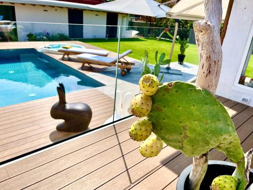 Πισίνα στο ή κοντά στο Other Garden - Luxury Bed and Breakfast