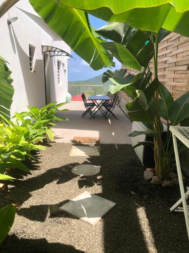a patio with a table and a bunch of plants at Le DAMOUR Appartement 1 ou 2 chambres in Les Anses-dʼArlets