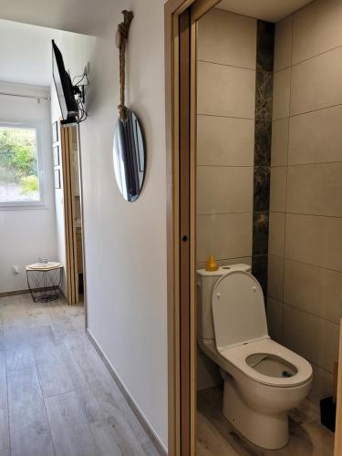 a bathroom with a toilet and a tv on the wall at Les Prairies de l'Encrême in Céreste