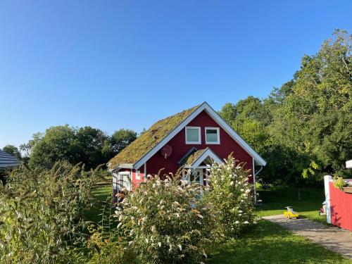 a red house with a grass roof at Norweger Haus am Tollensesee in Groß Nemerow