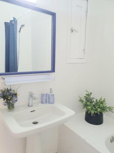 Vistamar Blue