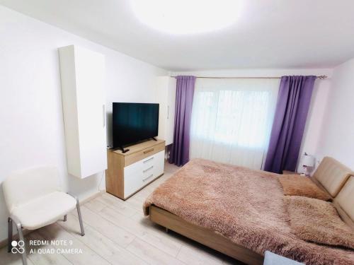 a bedroom with a bed and a flat screen tv at Garsonieră Daniela in Târgu Ocna