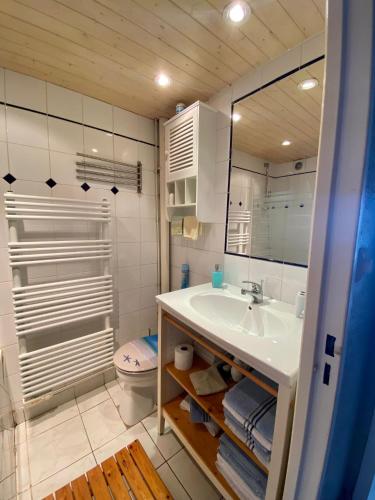 une salle de bain avec un lavabo, des toilettes et un miroir dans l'établissement Pamela Sea Lodge Cap d Agde, au Cap d'Agde