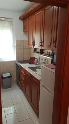 Kuchyňa alebo kuchynka v ubytovaní ROSE Apartman