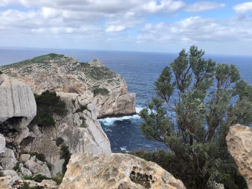 Fotografie z fotogalerie ubytování Appartamento Centro del Porto v destinaci Alghero