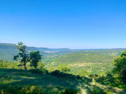 a green hill with a tree on top of a field at L'Orée des Pignes in Nojaret