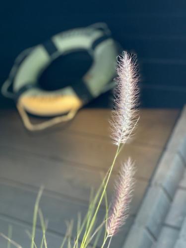 a life vest and a life jacket on a tiled floor with a plant at Ragaciema Skadiņi in Ragaciems