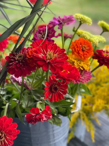 a bunch of colorful flowers in a white vase at Ragaciema Skadiņi in Ragaciems