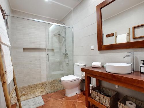 y baño con ducha, aseo y lavamanos. en Casa Refugio Do Campo, en Reguengos de Monsaraz