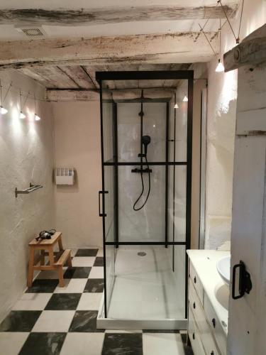 La salle de bains est pourvue d'une douche en verre et d'un sol en damier. dans l'établissement Domaine de Coubillou, à Lamalou-les-Bains