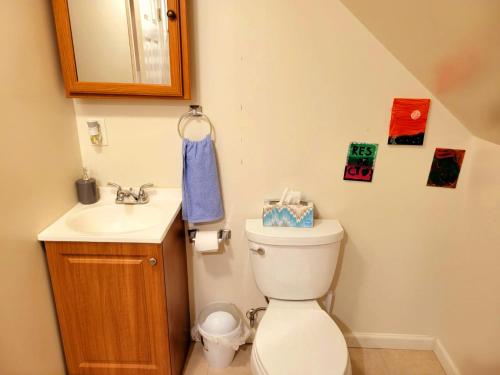 Baño pequeño con aseo y lavamanos en Delightful well located one bedroom attic, en Elizabeth