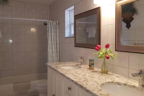 a bathroom with a sink and a toilet and a mirror at Del Mar Villa in Naples