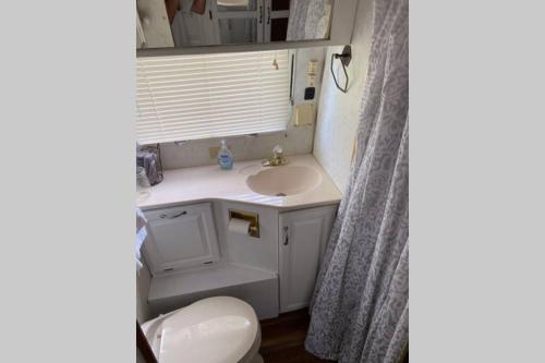 a bathroom with a sink and a toilet and a mirror at Amazing Airstream, Beaufort, SC-Enjoy the Journey in Beaufort