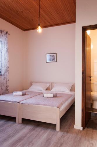 Domus Albus