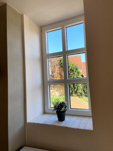 a window with a potted plant sitting on a window sill at Magtár Villa in Bóly