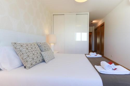 Expo Delight by Homing