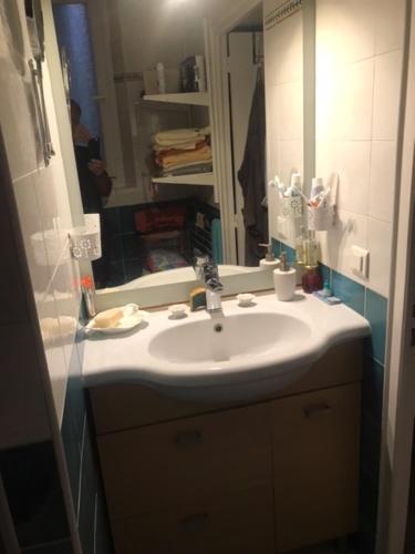 une salle de bain avec un lavabo et un miroir dans l'établissement Charmant appartement dans villa avec parc, à Cannes