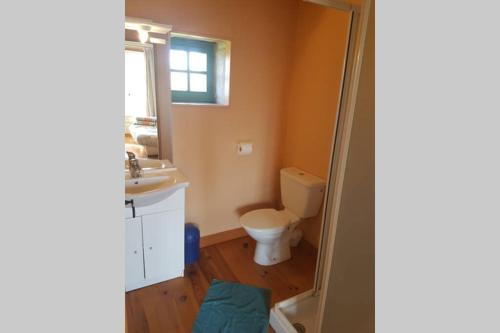 ein Bad mit einem WC und einem Waschbecken in der Unterkunft Séjour à la campagne in Placy