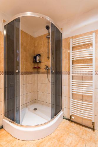 a bathroom with a shower with a tub at Chalupa Háj in Jindřichovice