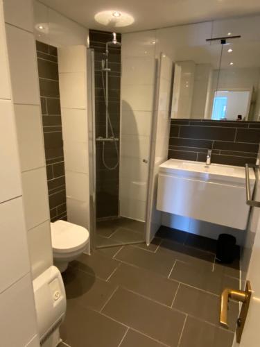 a bathroom with a toilet and a sink and a shower at Ferienwohnung Fichtenweg in Winterberg