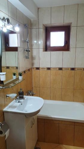 a bathroom with a sink and a bath tub at Andi Apartament in Predeal