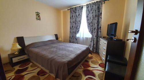 a bedroom with a bed and a television in it at Andi Apartament in Predeal
