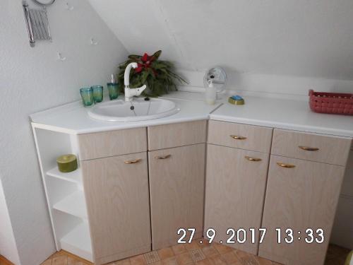a bathroom with a sink and a white counter at Familienferienwohnung im Haus Ludwig in Masserberg