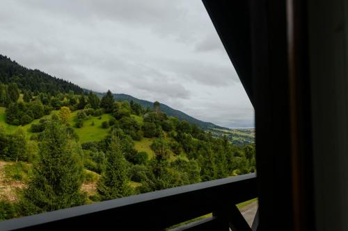a view of a forest from a train window at Chalet Carpat Dream in Synevyr
