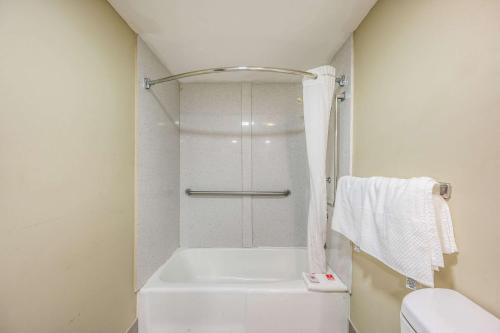 a white bathroom with a shower and a toilet at Econo Lodge Inn & Suites Huntsville University Area in Huntsville