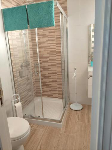 uma casa de banho com um chuveiro e um WC. em BLU APARTMENT, WIFI FREE POOL VIEW em Costa Del Silencio