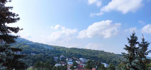 a view of a town on a hill with trees at Apartament Anna Iwonicz Zdrój in Iwonicz-Zdrój