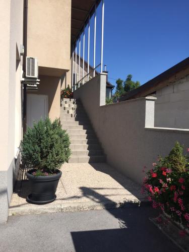 a stairway leading to a building with a plant at Rooms Klik in Postojna