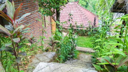 a garden with a brick wall and some plants at Buda's Homestay Lemukih in Buleleng