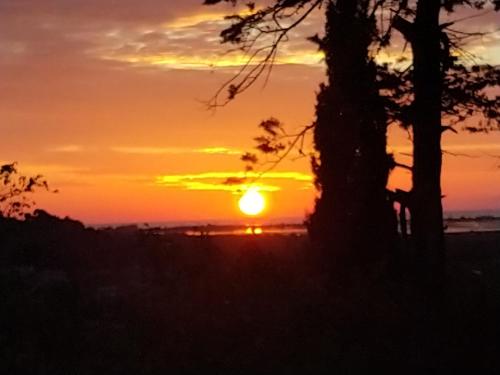 Naturlandskabet i nærheden af bed and breakfast-stedet